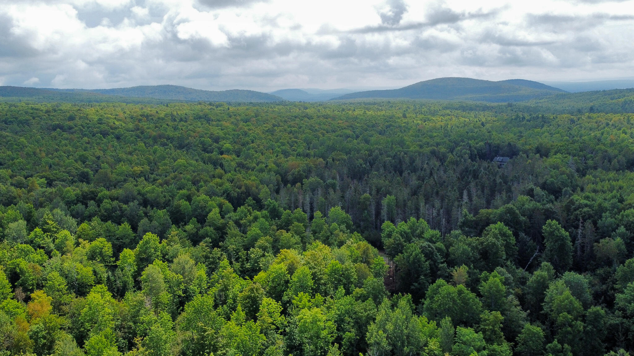 Lot 28.1 Kossar Road Carroll Plt, ME 04487 - Photo 7 of 14 7