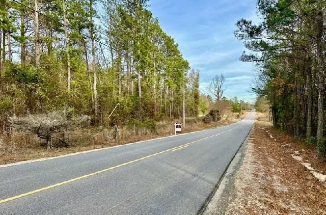 0 Gates Road Opelika, AL 36804 - Photo 3 of 3 Gallery Image 3