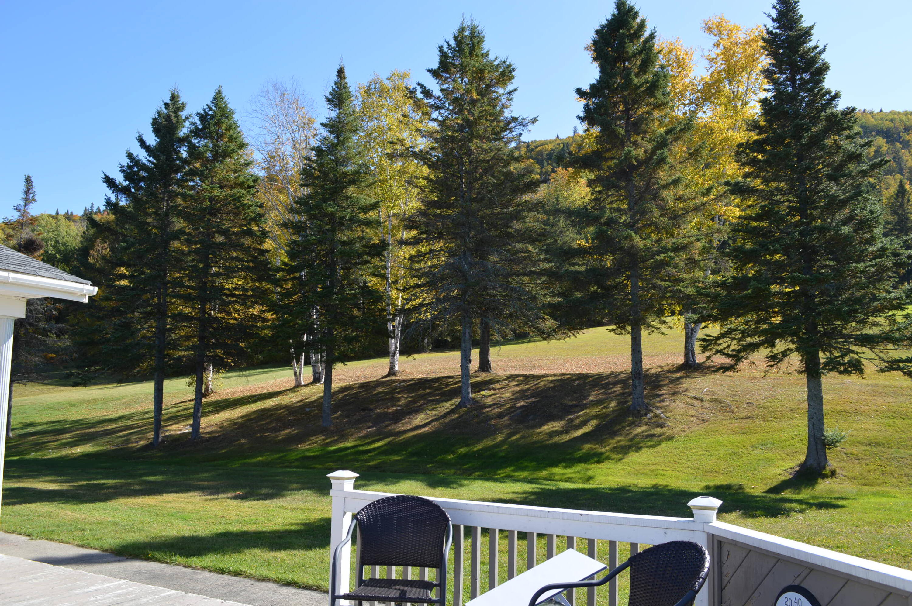 1147 Frenchville Road Fort Kent, ME 04743 - Photo 55 of 66 Back yard