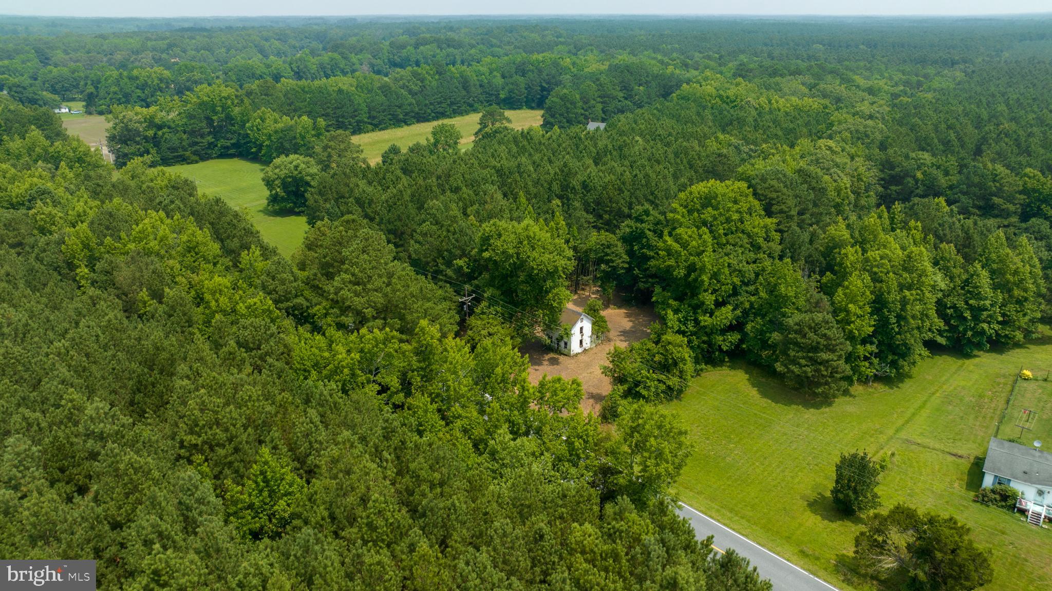 22452 Capitola Road Tyaskin, MD 21865 - Photo 4 of 8 an aerial view of residential houses with outdoor space and trees