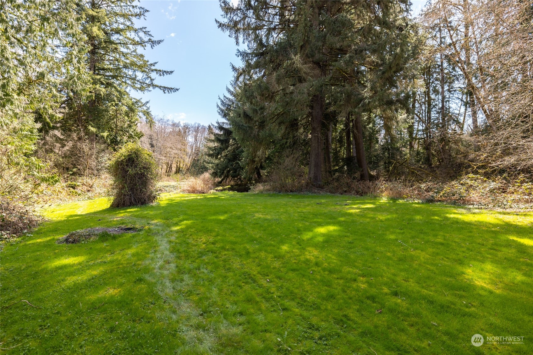 3614 Friday Creek Road Burlington, WA 98233 - Photo 8 of 37 Gallery Image 8