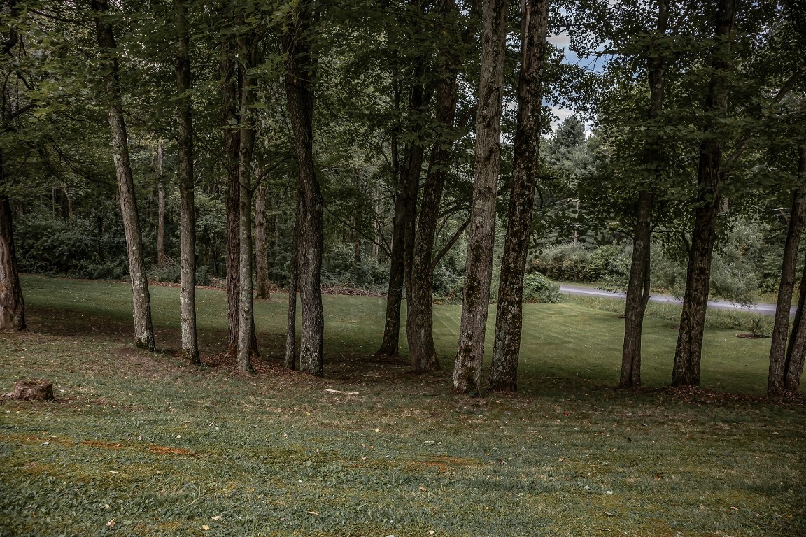 283 Ahern Road Binghamton, NY 13903 - Photo 7 of 46