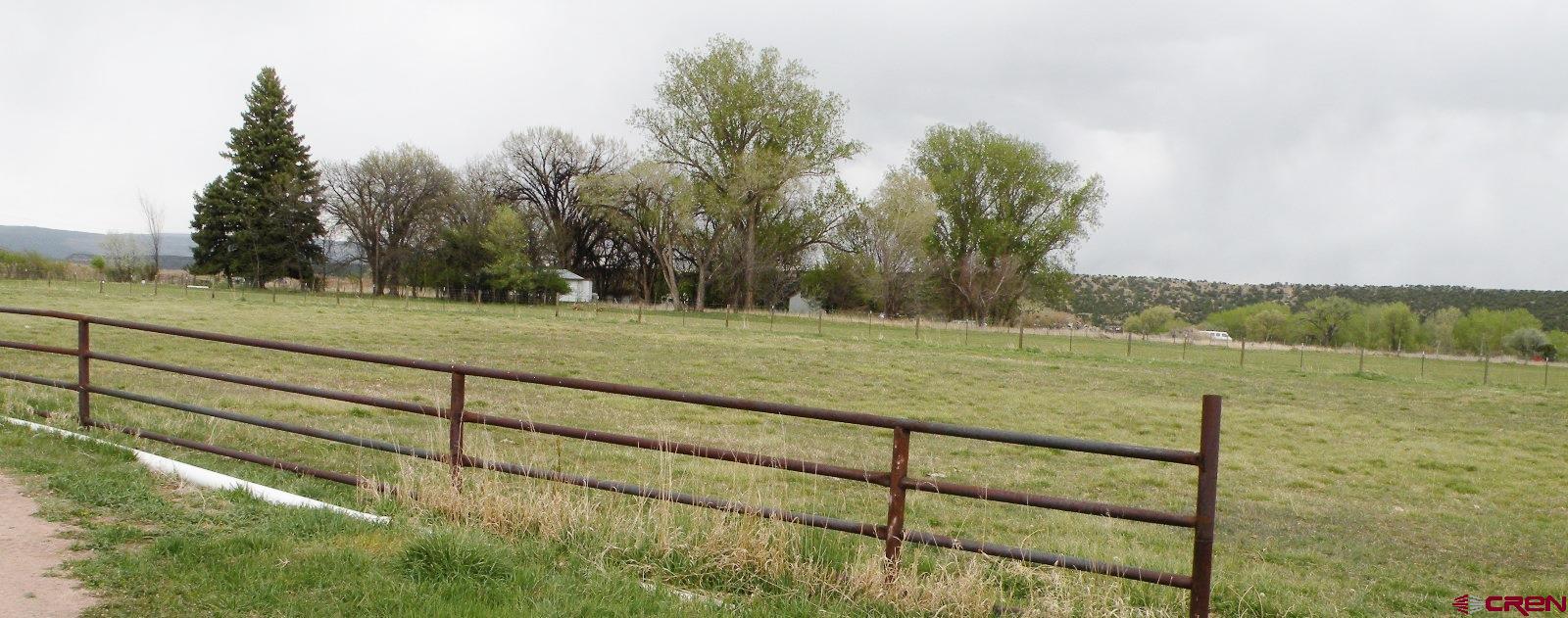 30146 DD31 Road Nucla, CO 81424 - Photo 11 of 25 a view of a field with trees in the background