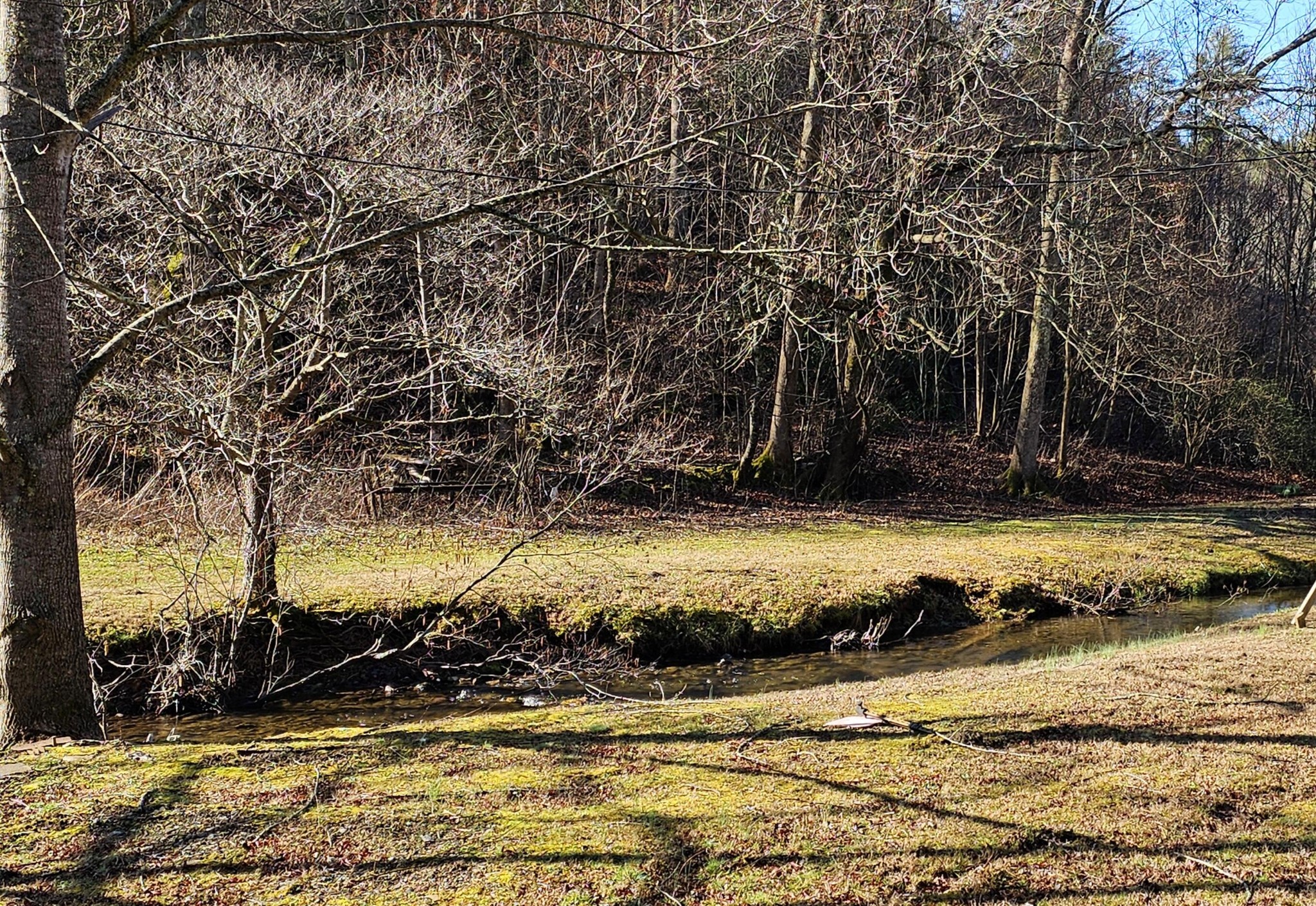 248 Lower Smithfield Road Tellico Plains, TN 37385 - Photo 25 of 52 Gallery Image 25