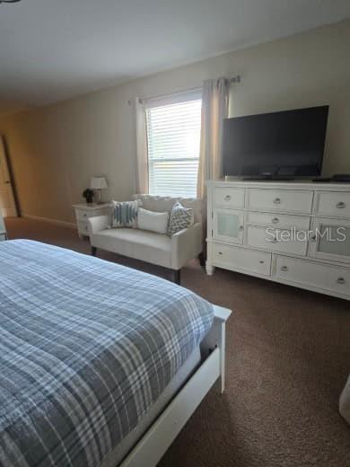8923 Cuban Palm Road Kissimmee, FL 34747 - Photo 28 of 87 a bedroom with a bed and a flat screen tv
