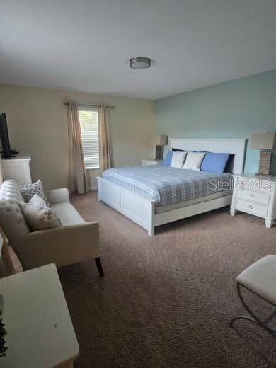 8923 Cuban Palm Road Kissimmee, FL 34747 - Photo 29 of 87 a bedroom with a bed couch and window