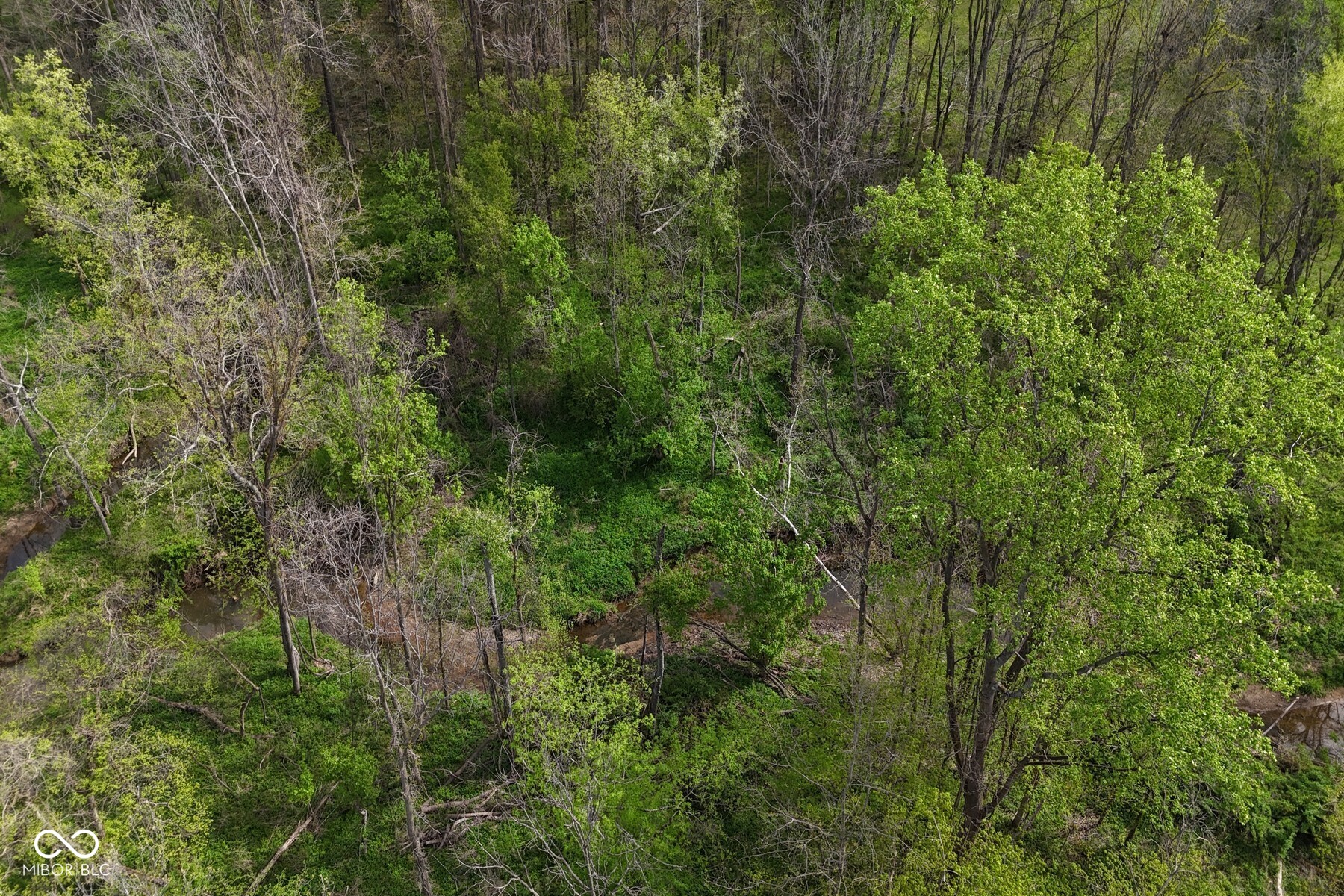 Tbd Awbrey West Road Cloverdale, IN 47456 - Photo 15 of 29