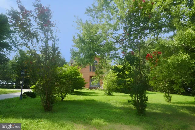 a view of yard with grass and a trees