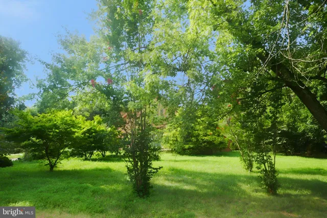 a view of an outdoor space and a yard