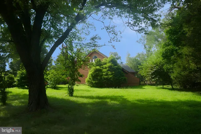 a green field with lots of bushes