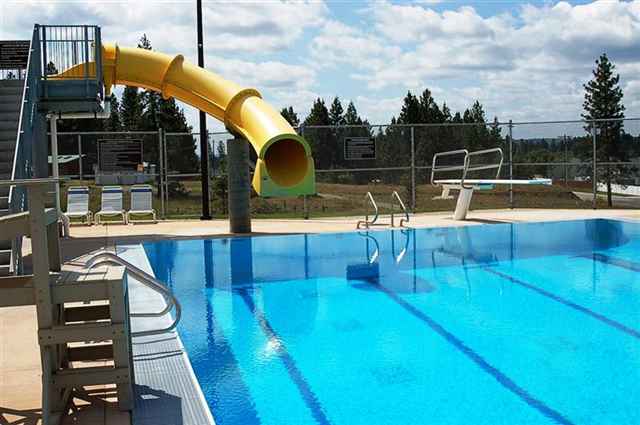 811 East Colbert Road Colbert, WA 99005 - Photo 6 of 8