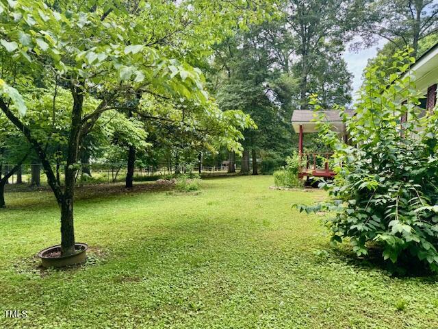 951 Harris Mill Road Rougemont, NC 27572 - Photo 64 of 89 IMG_3058