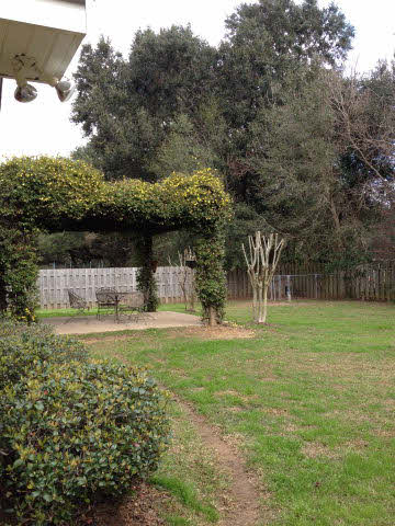 10499 South Side Loop Fairhope, AL 36532 - Photo 13 of 13 Back yard