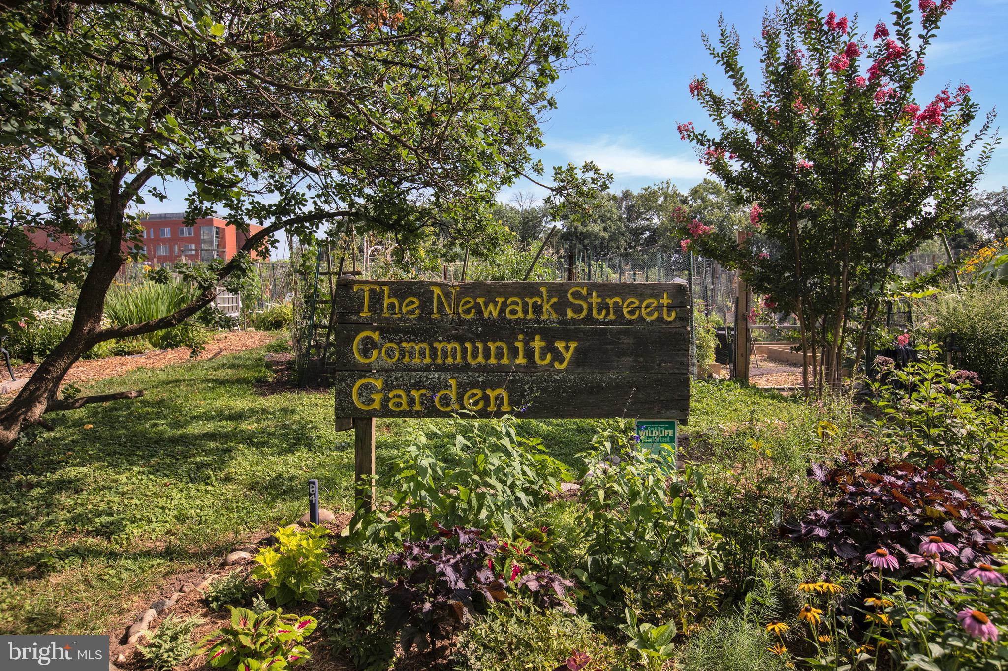 3891 Porter Street Northwest, Unit A301 Washington, DC 20016 - Photo 31 of 32