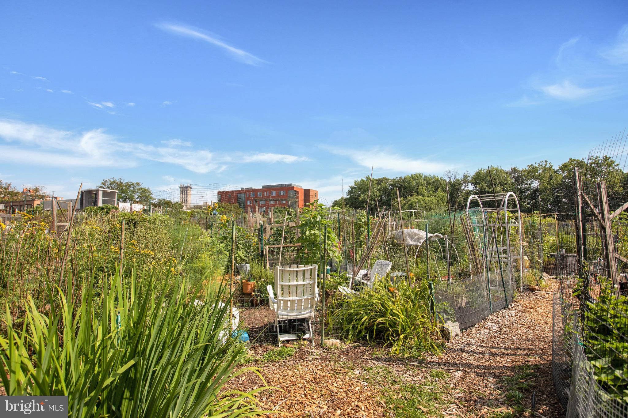 3891 Porter Street Northwest, Unit A301 Washington, DC 20016 - Photo 32 of 32