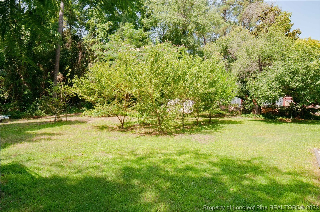 4605 Nix Road Fayetteville, NC 28314 - Photo 10 of 48 a view of yard with swimming pool