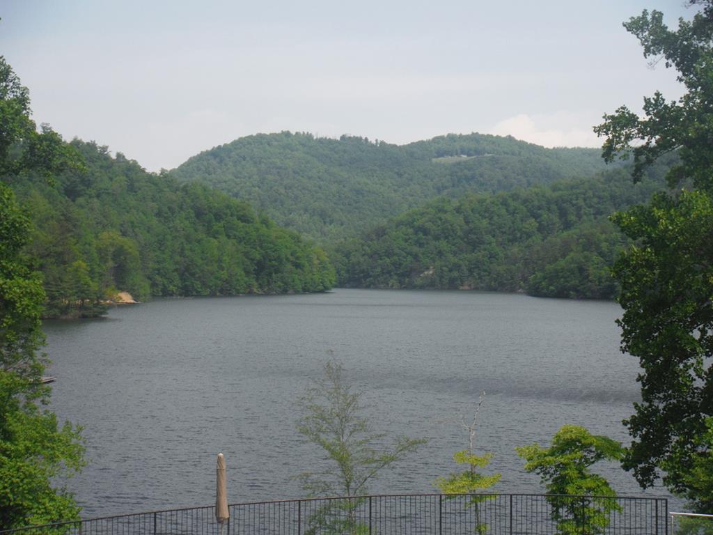 11 Stone Pillow Road Tuckasegee, NC 28783 - Photo 20 of 26 Gallery Image 20