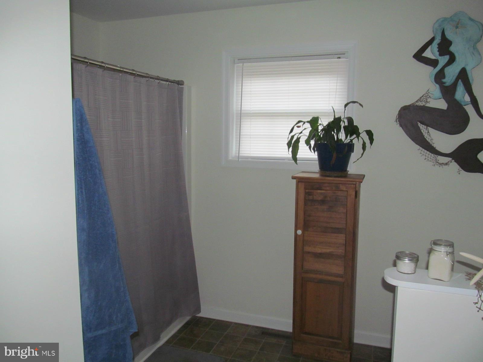11434 Shane Circle Ridgely, MD 21660 - Photo 11 of 21 Bath (Master)