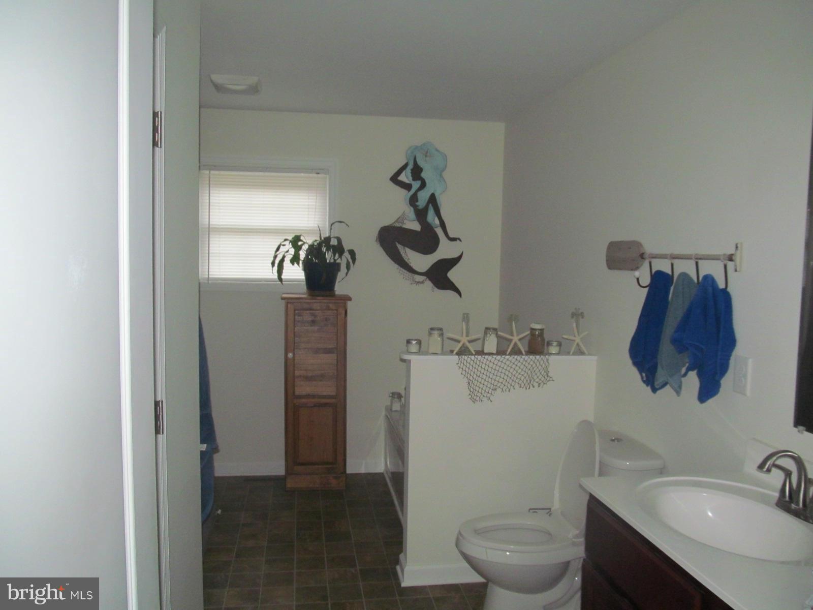 11434 Shane Circle Ridgely, MD 21660 - Photo 10 of 21 Bath (Master)