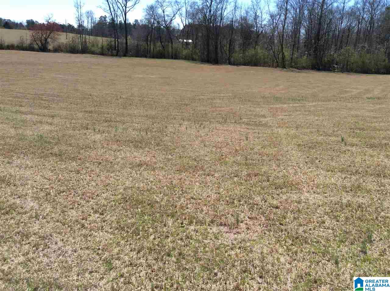 0 Coats Bend Road, Unit 1 Gadsden, AL 35901 - Photo 1 of 20