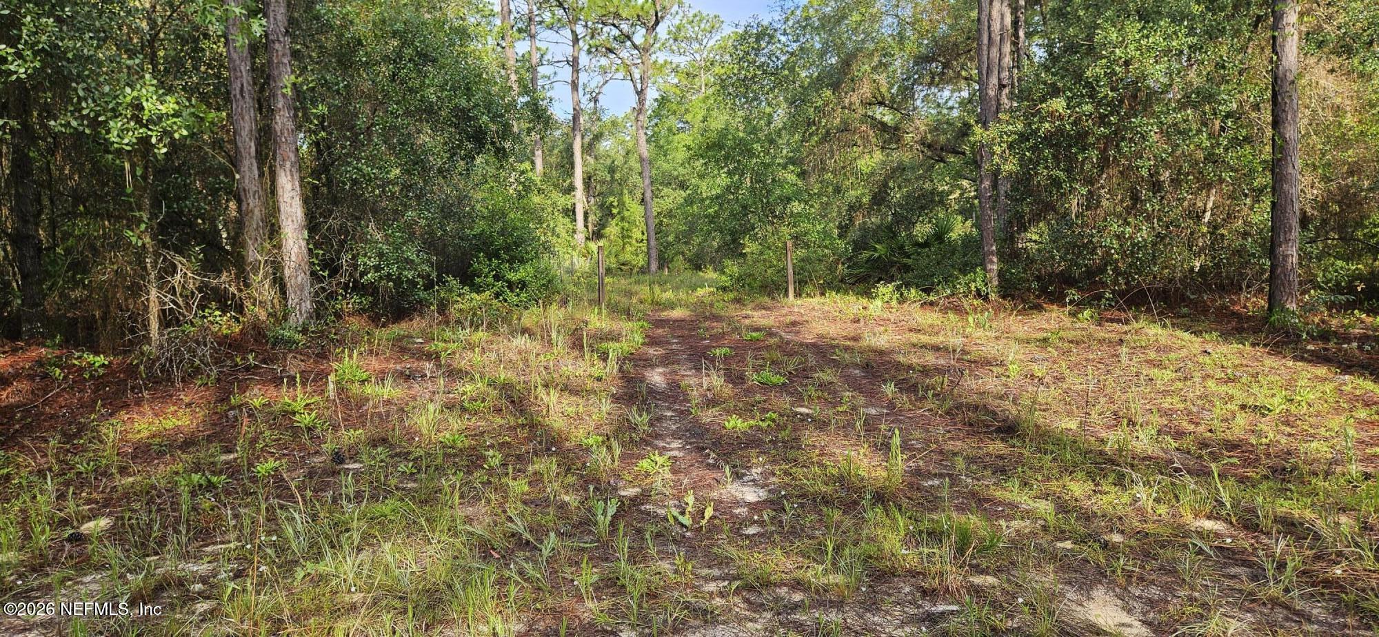 411 Incline Road Satsuma, FL 32189 - Photo 1 of 2 20260617_082816