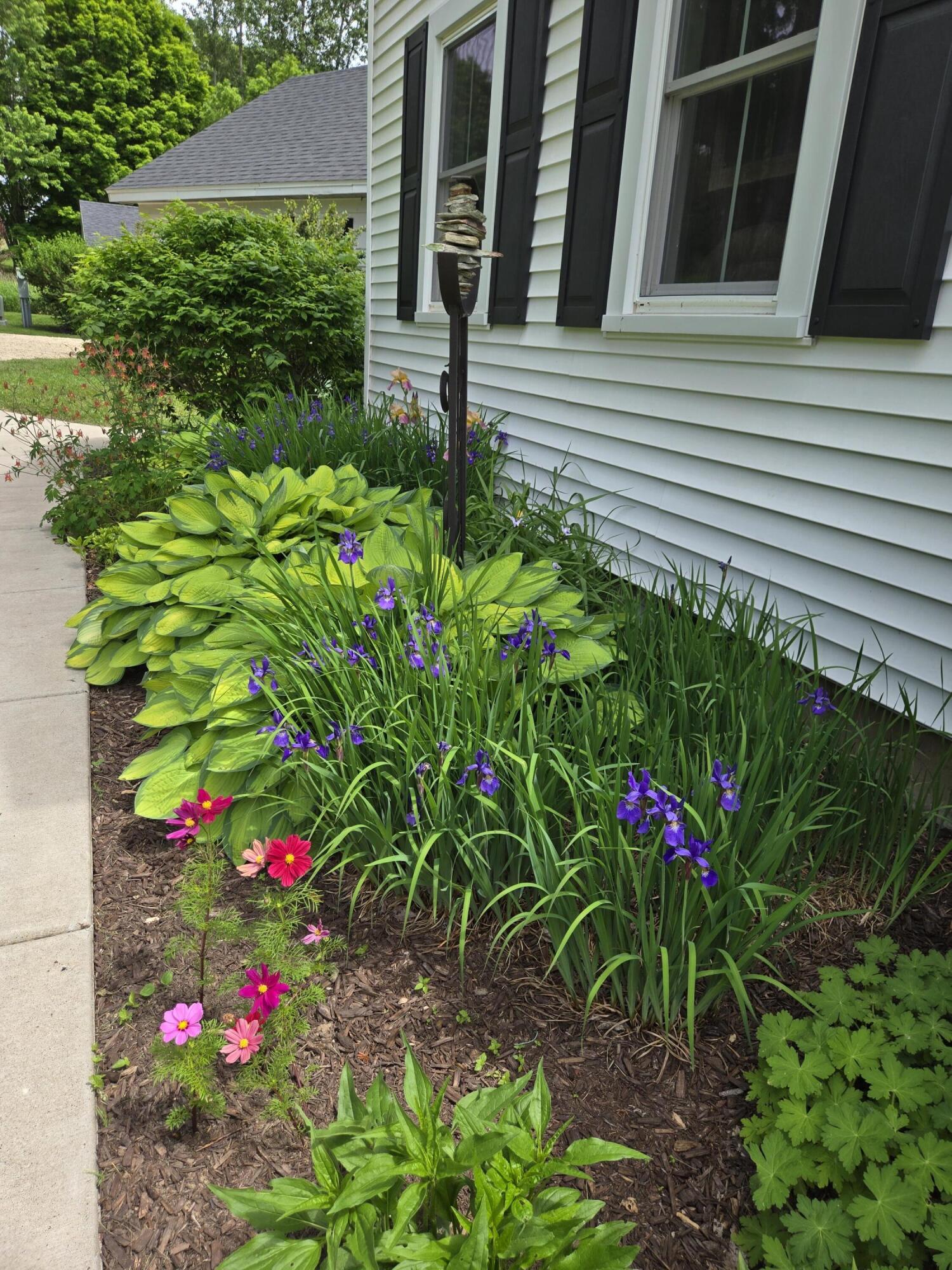 E6791 A County Road Viroqua, WI 54665 - Photo 20 of 61 Beautiful Perennials