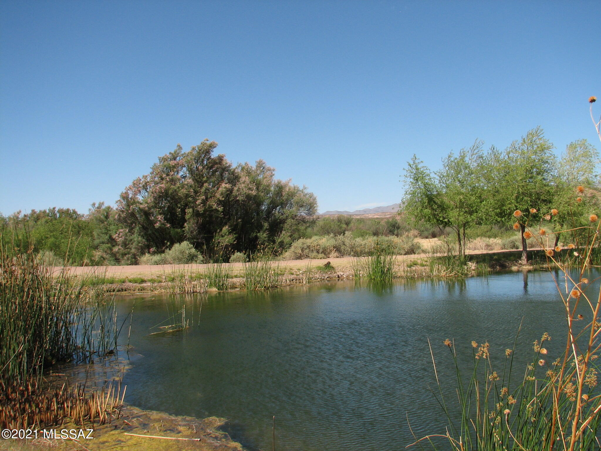 44.08-acre West Escalante Road St. David, AZ 85630 - Photo 4 of 19