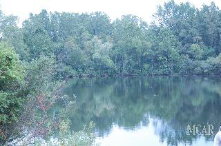 13117 Todd Road Ida, MI 48140 - Photo 4 of 20 949495-3.JPG