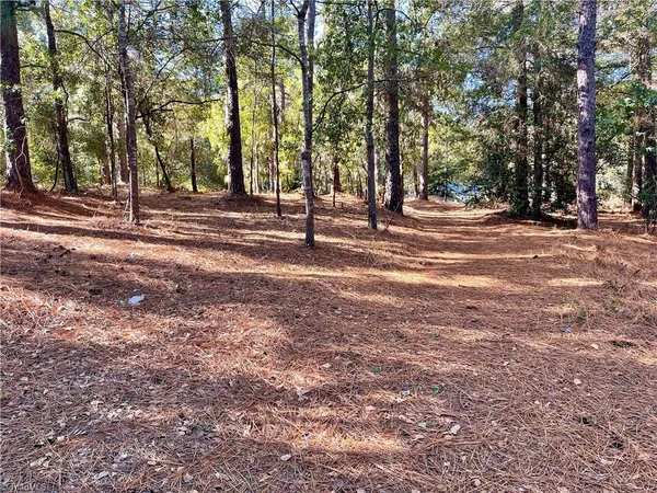 $33,000 | 0 Hylan Avenue, Hamlet, NC 28345