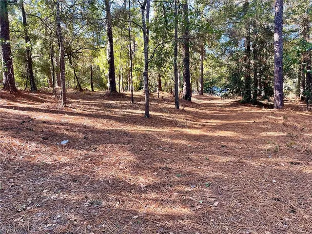 $35,000 | 0 Hylan Avenue, Hamlet, NC 28345