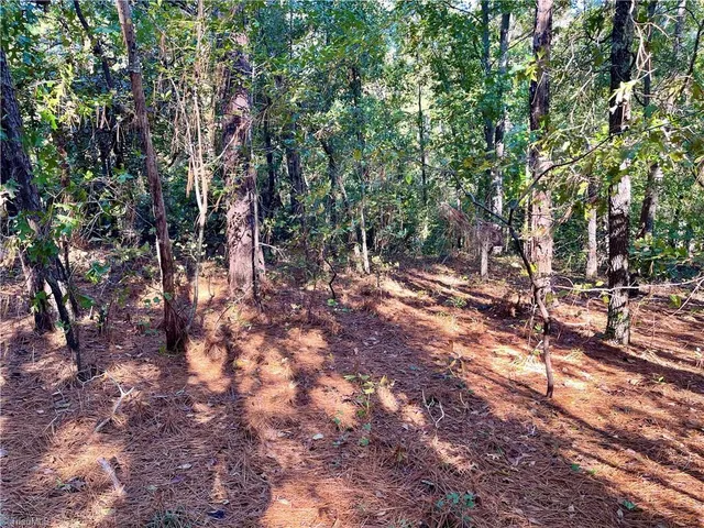 $35,000 | 0 Hylan Avenue, Hamlet, NC 28345