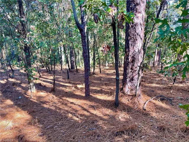 $35,000 | 0 Hylan Avenue, Hamlet, NC 28345