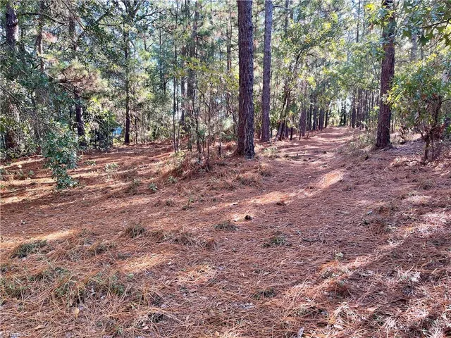 $35,000 | 0 Hylan Avenue, Hamlet, NC 28345