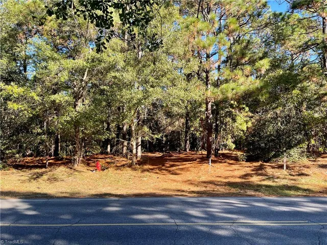 $35,000 | 0 Hylan Avenue, Hamlet, NC 28345