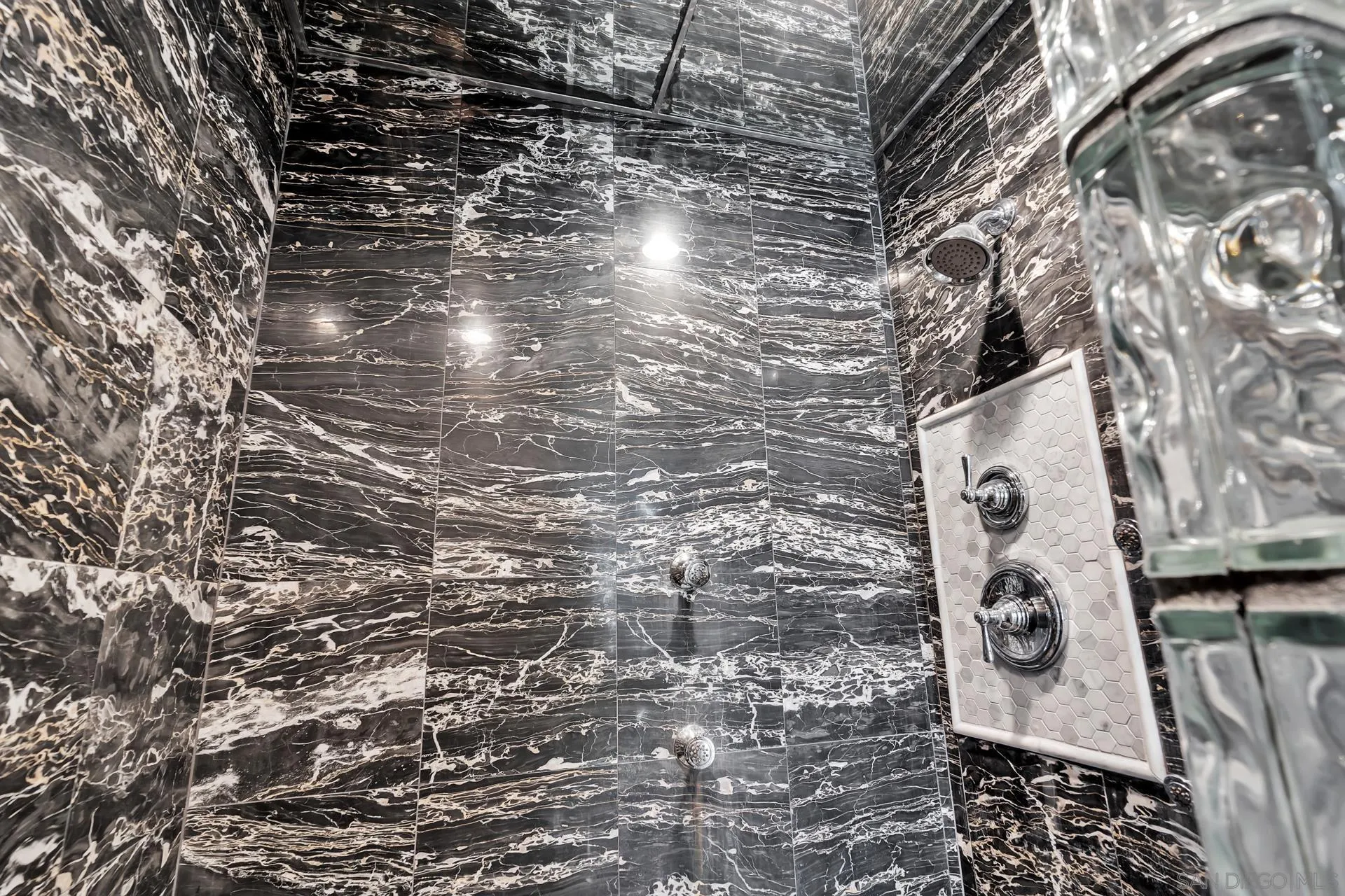 939 Coast Boulevard, Unit 12C La Jolla, CA 92037 - Photo 25 of 41 a close up of a plant