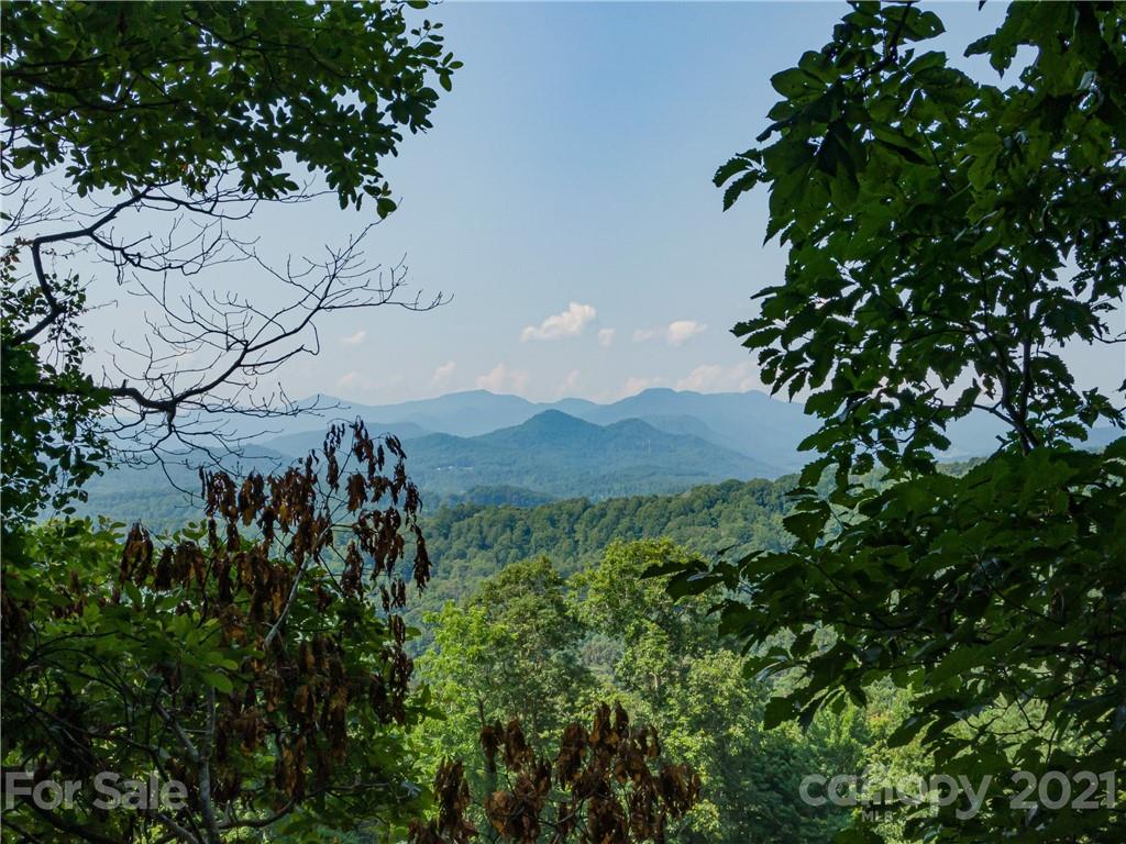 389 Winding Ridge Road, Unit 12 13 15 Marshall, NC 28753 - Photo 2 of 32 a view of a tree in a yard