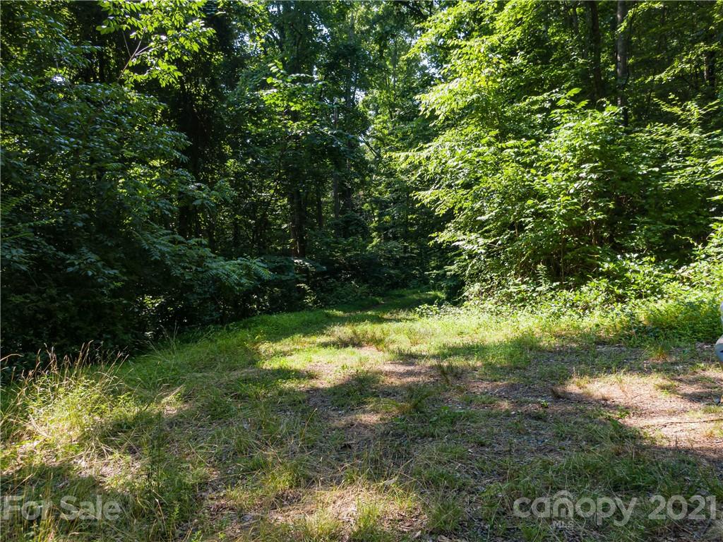 389 Winding Ridge Road, Unit 12 13 15 Marshall, NC 28753 - Photo 13 of 32 a view of a yard with plants and large trees