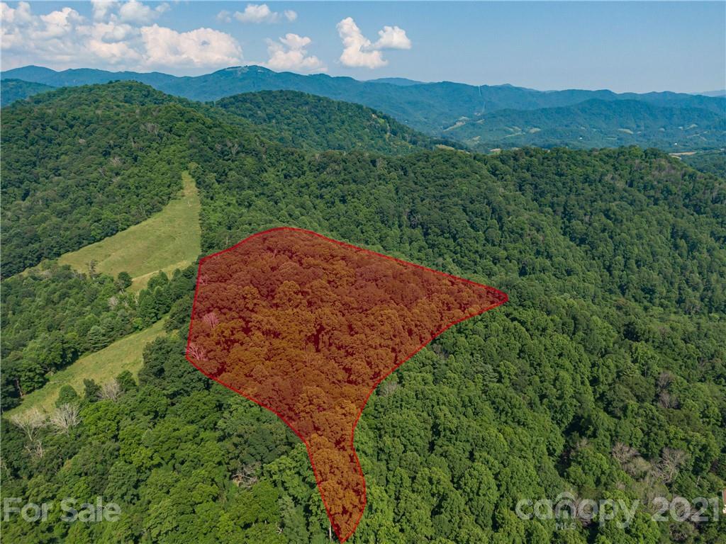 389 Winding Ridge Road, Unit 12 13 15 Marshall, NC 28753 - Photo 15 of 32 a view of a lush green hillside and a houses