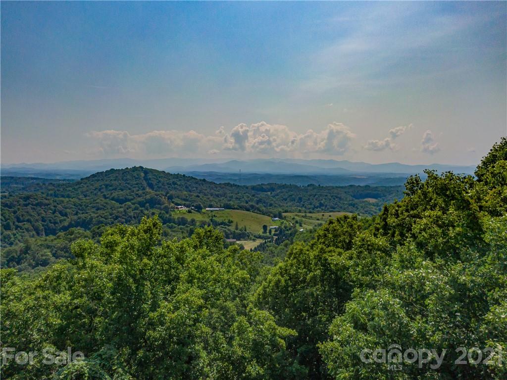 389 Winding Ridge Road, Unit 12 13 15 Marshall, NC 28753 - Photo 18 of 32 a view of a field of grass and trees