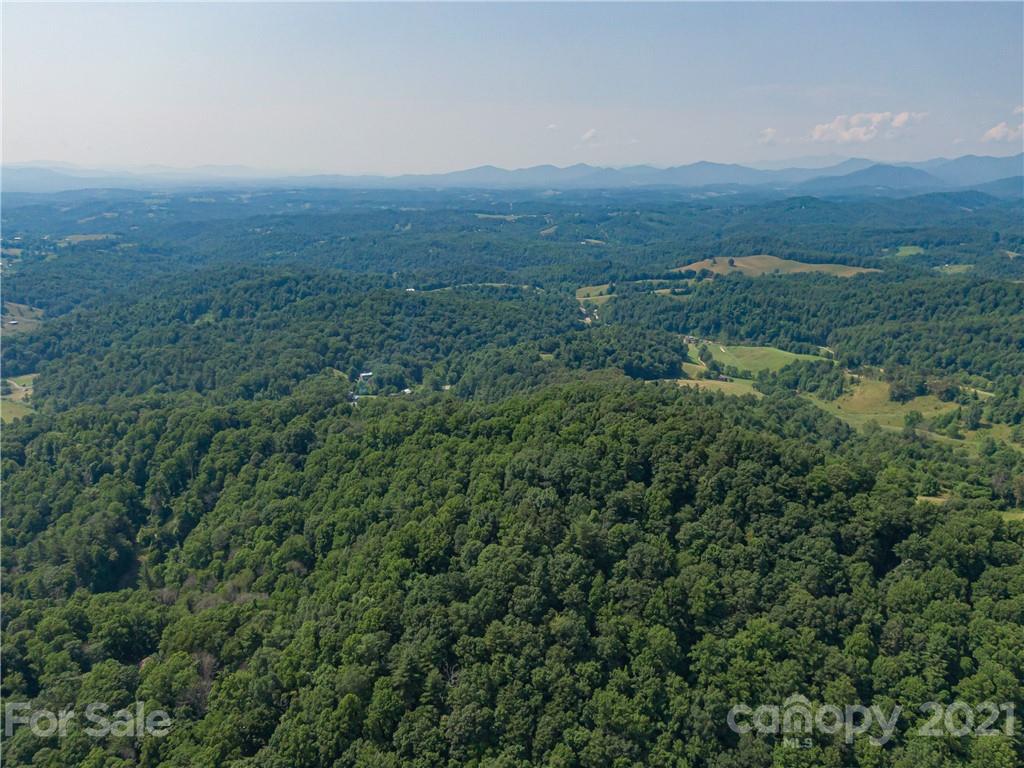 389 Winding Ridge Road, Unit 12 13 15 Marshall, NC 28753 - Photo 19 of 32 an aerial view of residential house and green space