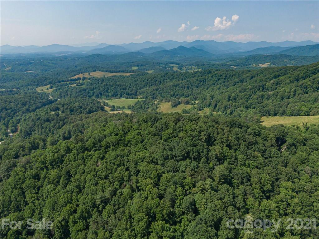 389 Winding Ridge Road, Unit 12 13 15 Marshall, NC 28753 - Photo 20 of 32 a view of a lush green forest with a house in a field