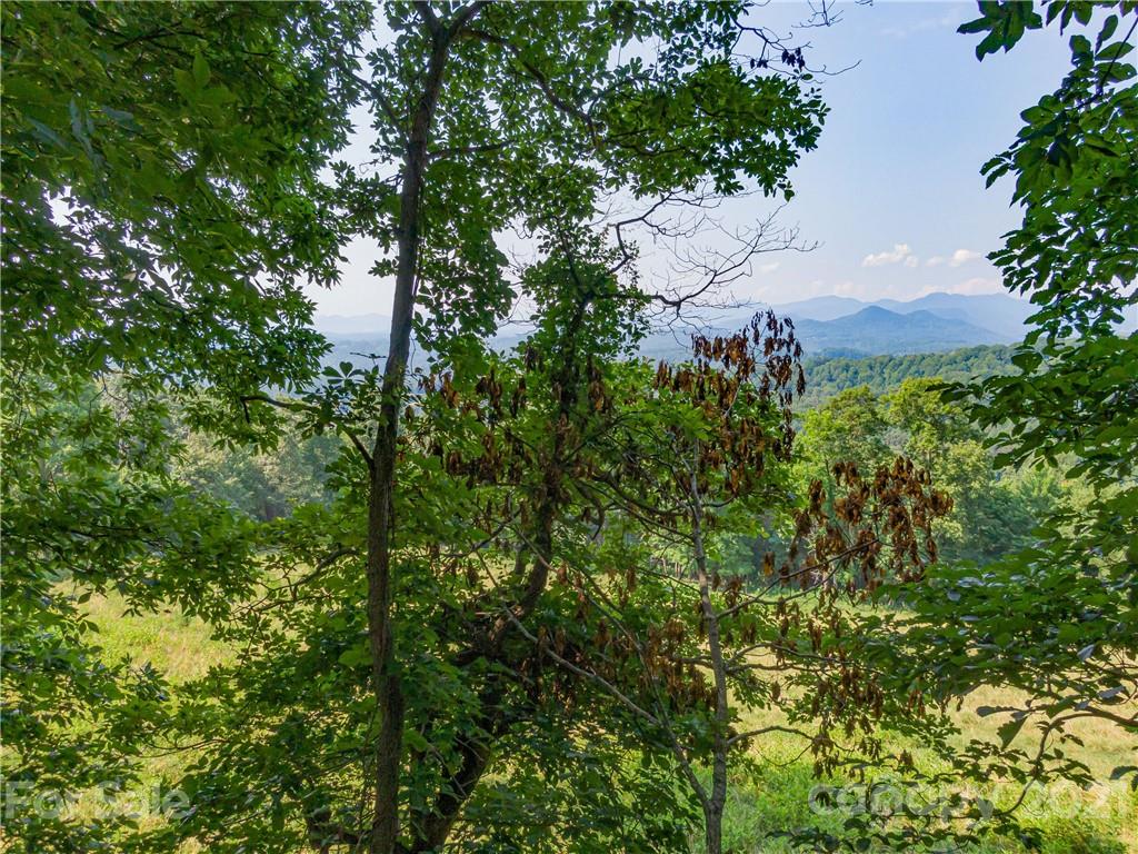 389 Winding Ridge Road, Unit 12 13 15 Marshall, NC 28753 - Photo 3 of 32 a view of a house in a forest