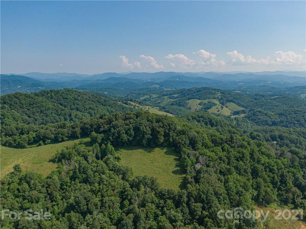 389 Winding Ridge Road, Unit 12 13 15 Marshall, NC 28753 - Photo 23 of 32 a view of a lush green forest with a mountain