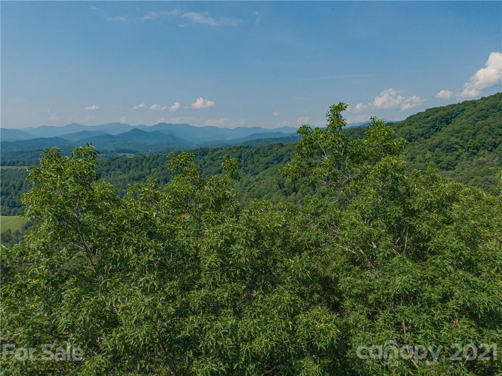 389 Winding Ridge Road, Unit 12 13 15 Marshall, NC 28753 - Photo 28 of 32 a view of a big yard with plants and a tree