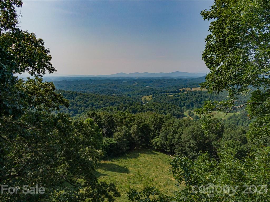 389 Winding Ridge Road, Unit 12 13 15 Marshall, NC 28753 - Photo 29 of 32 a view of a green yard