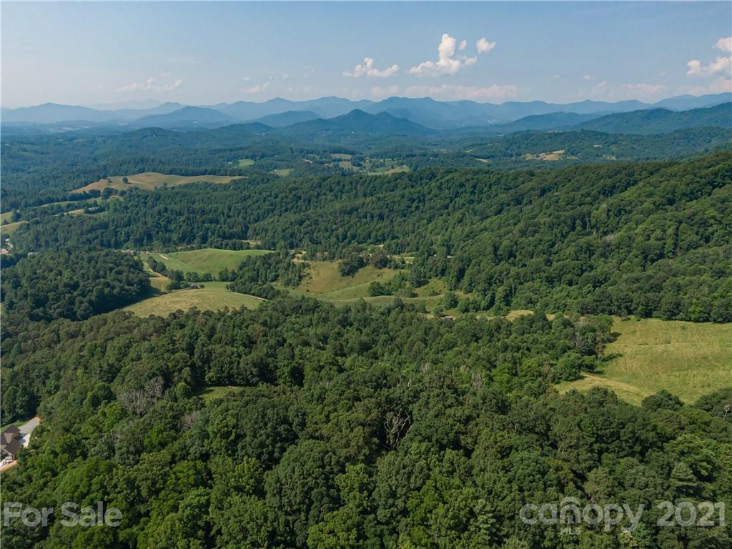 389 Winding Ridge Road, Unit 12 13 15 Marshall, NC 28753 - Photo 30 of 32 a view of a lush green forest with a houses