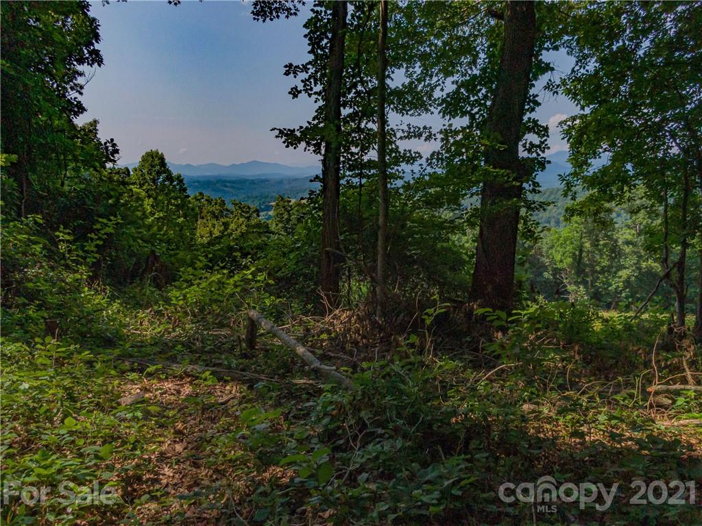 389 Winding Ridge Road, Unit 12 13 15 Marshall, NC 28753 - Photo 4 of 32 a view of a garden