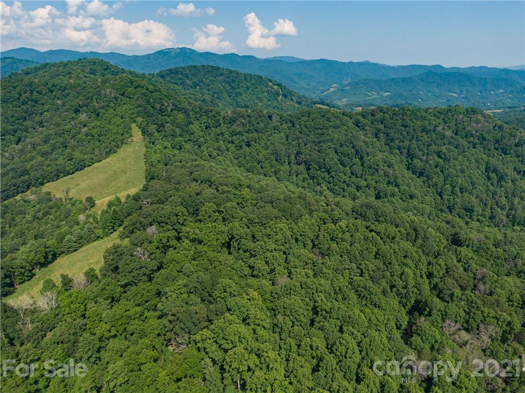 389 Winding Ridge Road, Unit 12 13 15 Marshall, NC 28753 - Photo 32 of 32 a view of a lush green hillside and a building