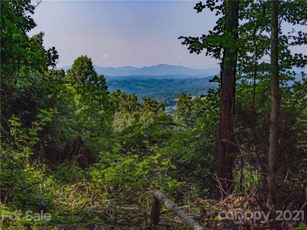 389 Winding Ridge Road, Unit 12 13 15 Marshall, NC 28753 - Photo 5 of 32 a view of a lush green forest with a house in the background