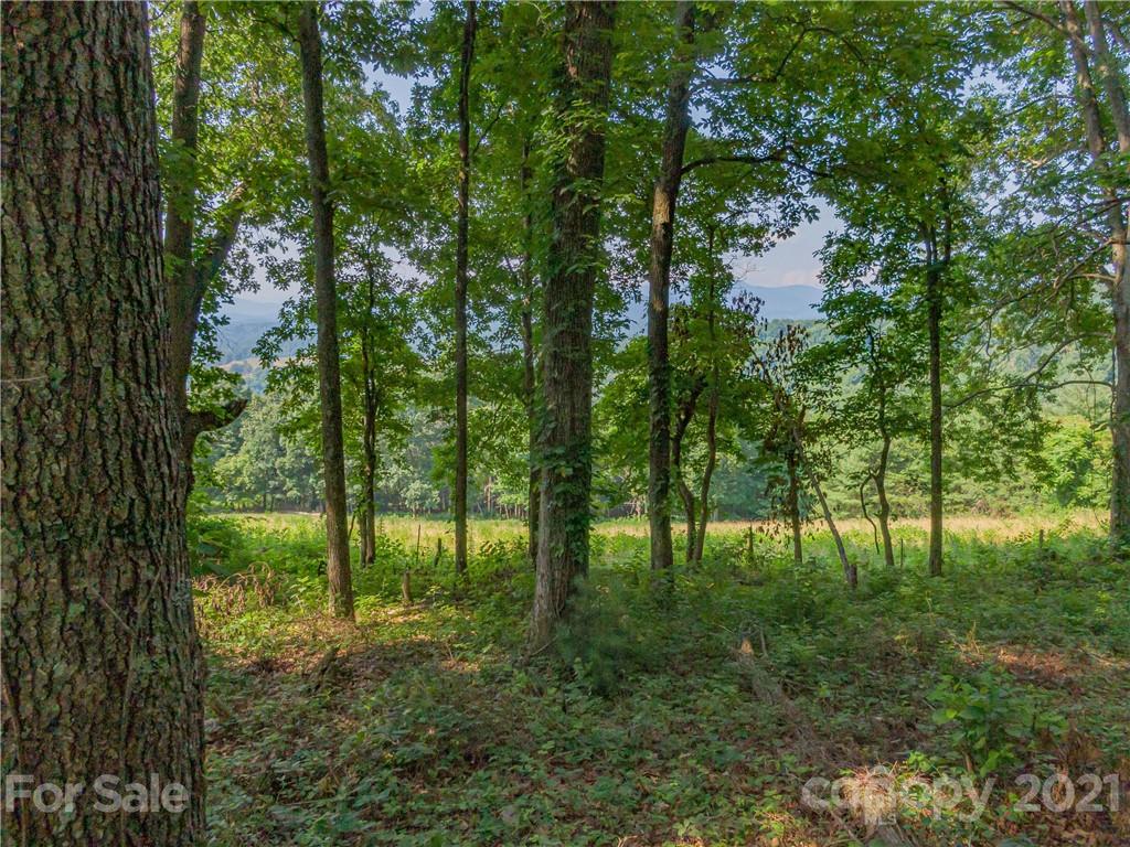 389 Winding Ridge Road, Unit 12 13 15 Marshall, NC 28753 - Photo 6 of 32 a big yard with lots of green space and trees
